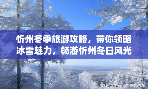 忻州冬季旅游攻略，帶你領(lǐng)略冰雪魅力，暢游忻州冬日風(fēng)光！