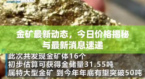 金礦最新動態(tài)，今日價格揭秘與最新消息速遞