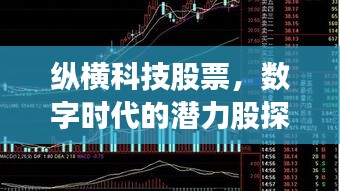 縱橫科技股票，數字時代的潛力股探索