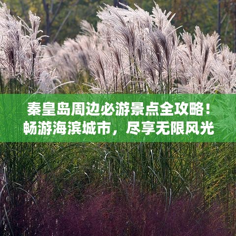 秦皇島周邊必游景點全攻略！暢游海濱城市，盡享無限風光