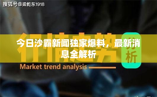 今日沙霸新聞獨(dú)家爆料，最新消息全解析