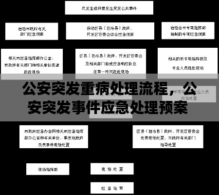 公安突發(fā)重病處理流程，公安突發(fā)事件應急處理預案 