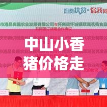 中山小香豬價(jià)格走勢(shì)大揭秘，最新行情分析！