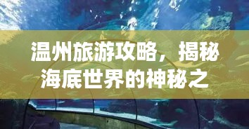 溫州旅游攻略，揭秘海底世界的神秘之旅