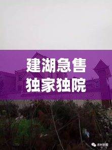 建湖急售獨家獨院，建湖哪里有30到40萬的房子 