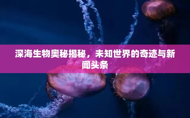 深海生物奧秘揭秘，未知世界的奇跡與新聞頭條