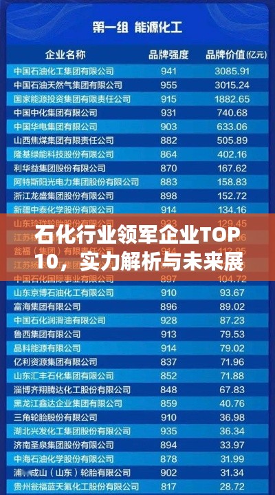 石化行業(yè)領軍企業(yè)TOP10，實力解析與未來展望