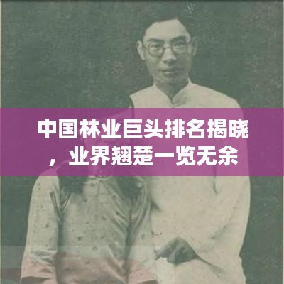 中國林業(yè)巨頭排名揭曉，業(yè)界翹楚一覽無余