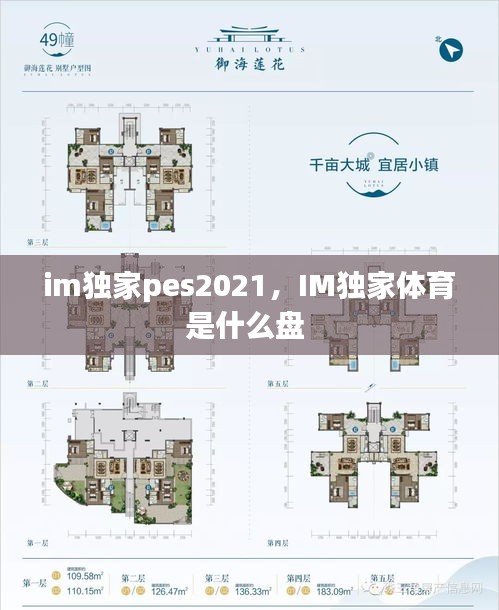 im獨家pes2021，IM獨家體育是什么盤 