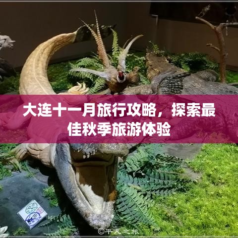 大連十一月旅行攻略，探索最佳秋季旅游體驗