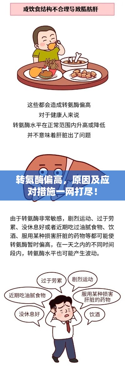 轉氨酶偏高，原因及應對措施一網(wǎng)打盡！