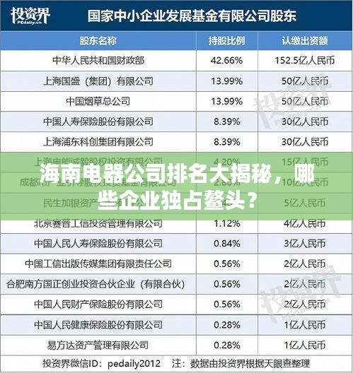 海南電器公司排名大揭秘，哪些企業(yè)獨(dú)占鰲頭？