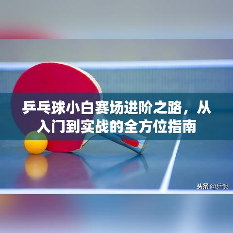 乒乓球小白賽場進(jìn)階之路，從入門到實(shí)戰(zhàn)的全方位指南