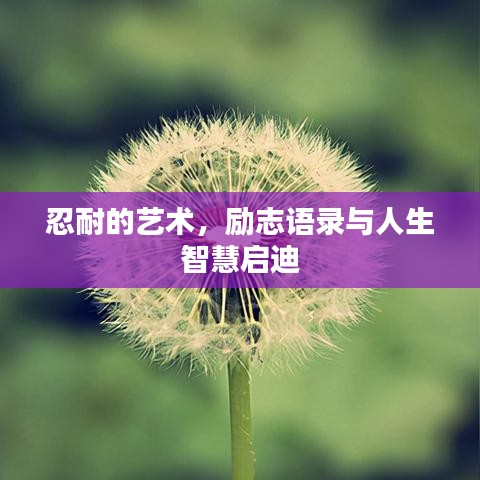 忍耐的藝術(shù)，勵(lì)志語錄與人生智慧啟迪