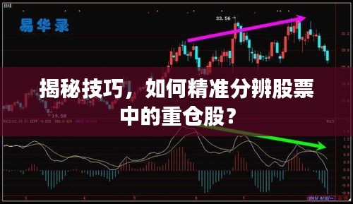 揭秘技巧，如何精準(zhǔn)分辨股票中的重倉(cāng)股？