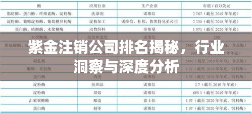 紫金注銷公司排名揭秘，行業(yè)洞察與深度分析