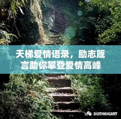 天梯愛情語錄，勵(lì)志箴言助你攀登愛情高峰