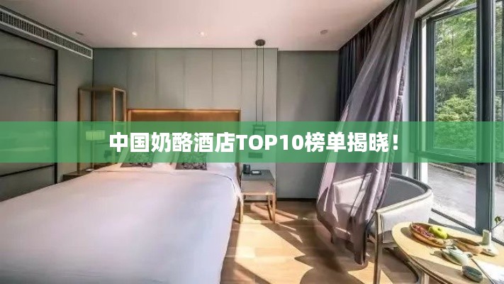 中國奶酪酒店TOP10榜單揭曉！