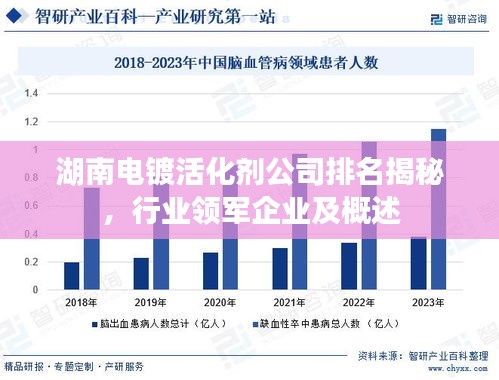 湖南電鍍活化劑公司排名揭秘，行業(yè)領(lǐng)軍企業(yè)及概述