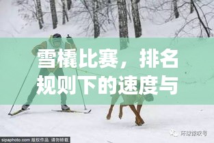 雪橇比賽，排名規(guī)則下的速度與激情角逐