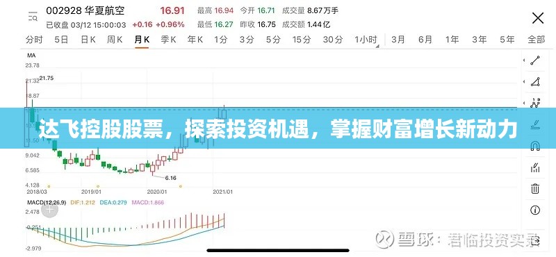 達(dá)飛控股股票，探索投資機(jī)遇，掌握財(cái)富增長(zhǎng)新動(dòng)力