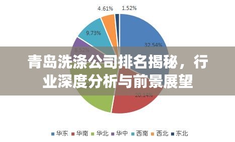 青島洗滌公司排名揭秘，行業(yè)深度分析與前景展望