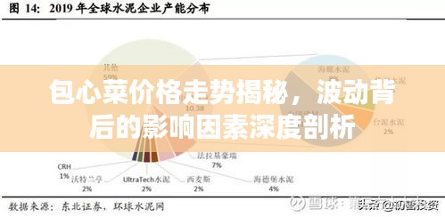 包心菜價(jià)格走勢(shì)揭秘，波動(dòng)背后的影響因素深度剖析