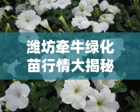 濰坊牽牛綠化苗行情大揭秘，最新價(jià)格分析與趨勢預(yù)測