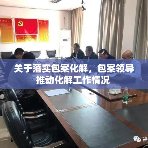 關于落實包案化解，包案領導推動化解工作情況 