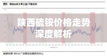 陜西硫銨價格走勢深度解析