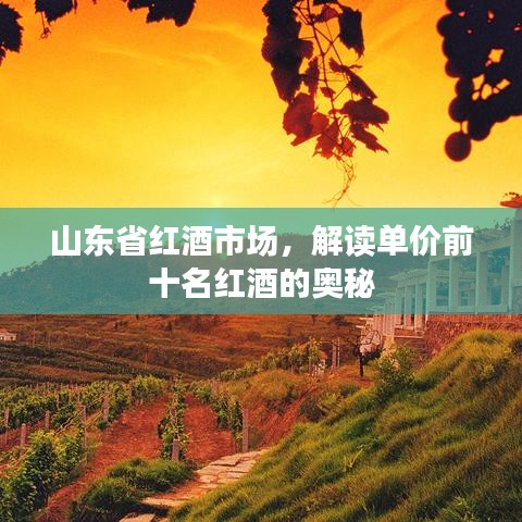 山東省紅酒市場，解讀單價前十名紅酒的奧秘