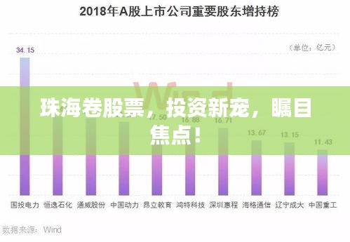 珠海卷股票，投資新寵，矚目焦點(diǎn)！