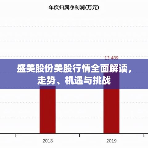 盛美股份美股行情全面解讀，走勢、機遇與挑戰(zhàn)