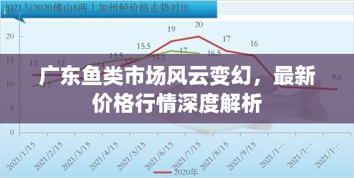 廣東魚類市場風(fēng)云變幻，最新價格行情深度解析