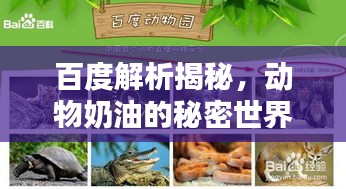 百度解析揭秘，動物奶油的秘密世界！