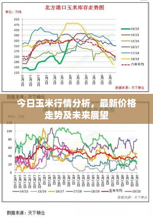 今日玉米行情分析，最新價(jià)格走勢(shì)及未來(lái)展望