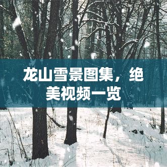 龍山雪景圖集，絕美視頻一覽