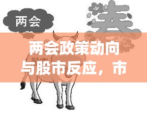 兩會(huì)政策動(dòng)向與股市反應(yīng)，市場走勢揭秘，投資機(jī)會(huì)前瞻