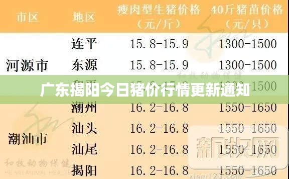 廣東揭陽今日豬價行情更新通知