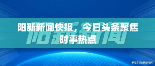 陽新新聞快報(bào)，今日頭條聚焦時(shí)事熱點(diǎn)