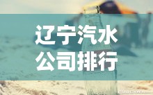 遼寧汽水公司排行榜揭曉，誰領風騷？