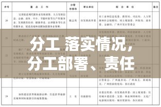 分工 落實情況，分工部署、責(zé)任落實 