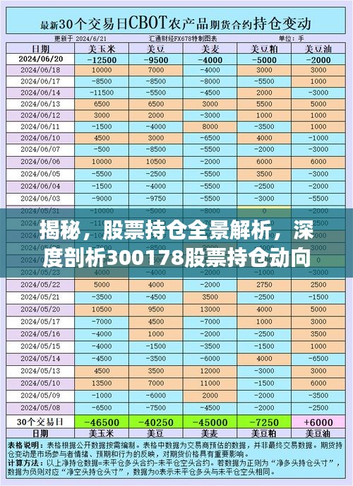 揭秘，股票持倉全景解析，深度剖析300178股票持倉動向