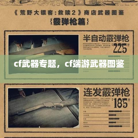 cf武器專題，cf端游武器圖鑒 