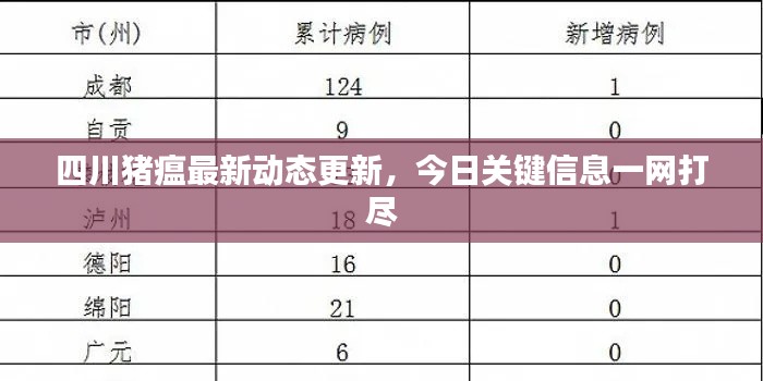 四川豬瘟最新動態(tài)更新，今日關鍵信息一網打盡