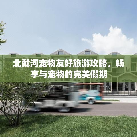 北戴河寵物友好旅游攻略，暢享與寵物的完美假期