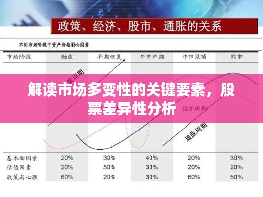 解讀市場多變性的關(guān)鍵要素，股票差異性分析