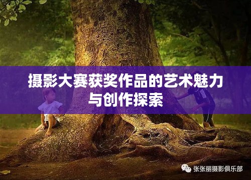 攝影大賽獲獎作品的藝術(shù)魅力與創(chuàng)作探索