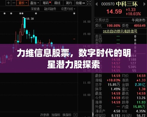 力維信息股票，數(shù)字時(shí)代的明星潛力股探索
