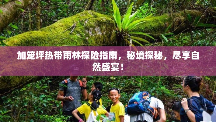加籠坪熱帶雨林探險指南，秘境探秘，盡享自然盛宴！